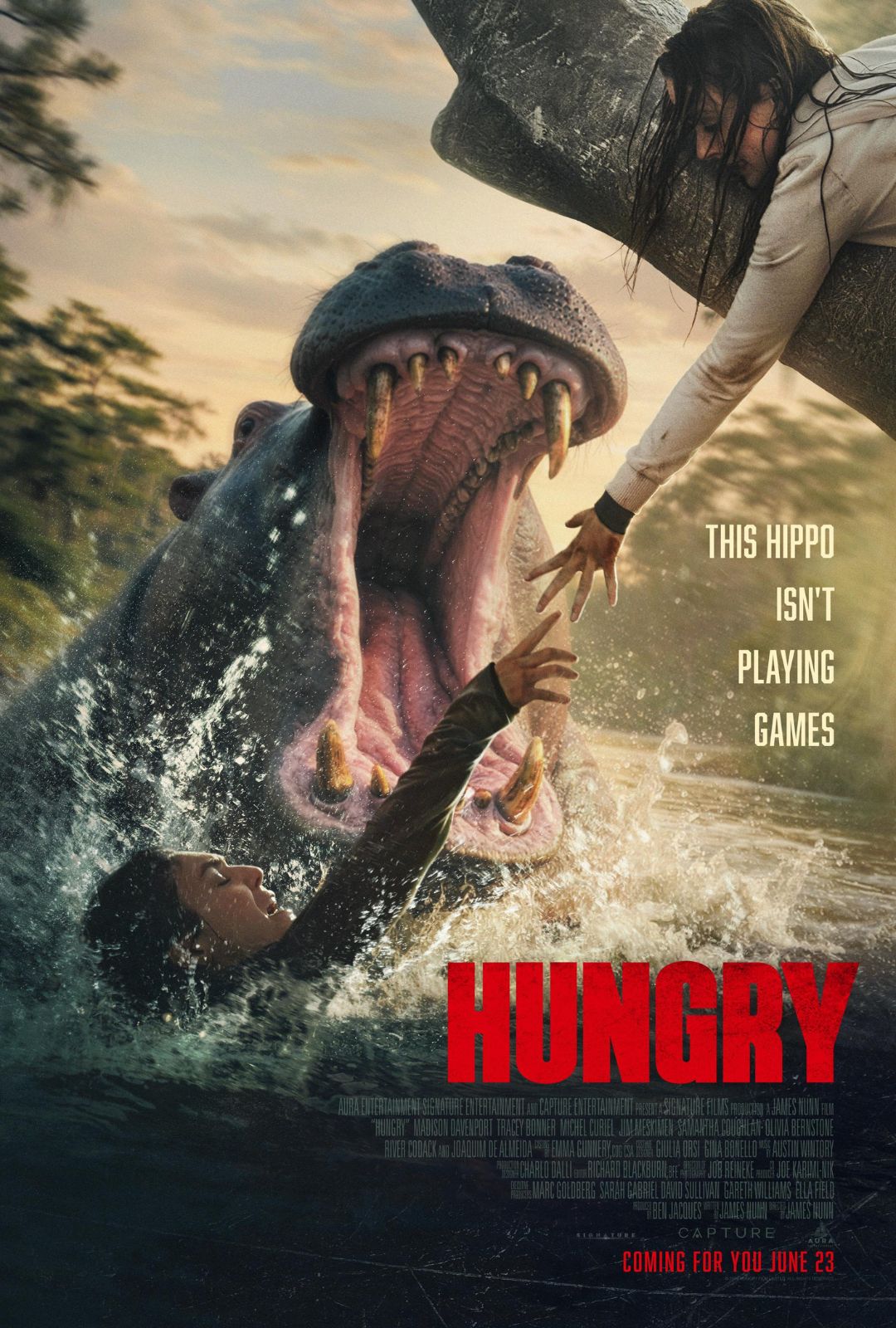 LcFlix | Watch Movies Online